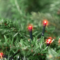 Northlight 20 Battery Operated Red Led Wide Angle Christmas Lights - 9.5 Ft Green Wire