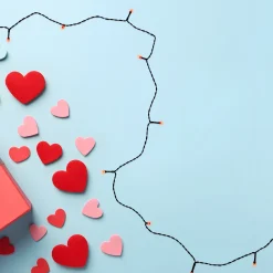 Northlight 20 Battery Operated Red Led Wide Angle Christmas Lights - 9.5 Ft Green Wire