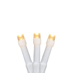 Northlight 20 Battery Operated Warm White Led Wide Angle Mini Christmas Lights - 9.5 Ft White Wire