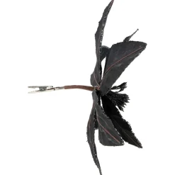 Floral*Northlight 10