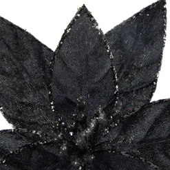 Floral*Northlight 10