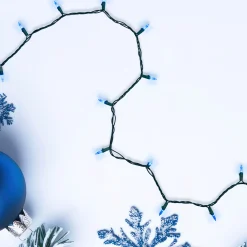 Northlight 100 Blue Led Mini Christmas Lights, 33 Ft Green Wire