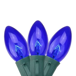 Northlight 25 Blue Transparent C9 Christmas Lights - 24 Ft Green Wire