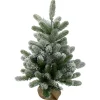 Northlight Potted Trees>2' B/O Potted Frosted Pine Medium Artificial Christmas Tree In A Burlap Pot- Warm White Lights