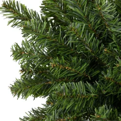 Unlit Swags*Northlight 32