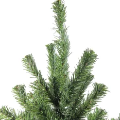 Northlight 5 And 5.5 Feet Tall>5' Canadian Pine Medium Artificial Christmas Tree, Unlit