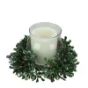 Candles & Holders*Northlight 6" Clear And Green Boxwood With Berry Tipped Christmas Hurricane Pillar Candle Holder