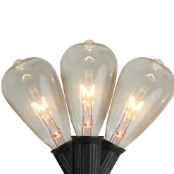 Northlight 10 Count Clear Edison Glass Patio Lights, 9Ft Black Wire