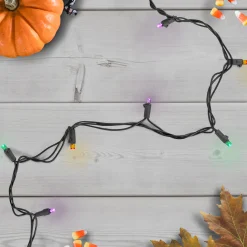 Northlight 50 Count Purple, Green And Orange Led Christmas Lights, 16 Ft Black Wire