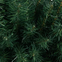 Unlit Swags*Northlight 42