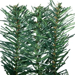 Unlit Swags*Northlight 42