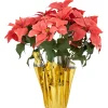 Floral*Northlight 20" Dark Pink Artificial Christmas Poinsettia With Gold Wrapped Base