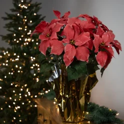 Floral*Northlight 20" Dark Pink Artificial Christmas Poinsettia With Gold Wrapped Base