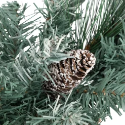 Unlit Swags*Northlight 18