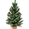 Northlight 2.5 Feet Tall And Smaller>24" Frosted Norway Pine With Pine Cones Medium Artificial Christmas Tree, Unlit