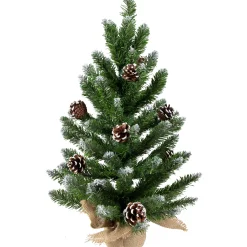 Northlight 2.5 Feet Tall And Smaller>24" Frosted Norway Pine With Pine Cones Medium Artificial Christmas Tree, Unlit