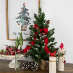 Northlight 2.5 Feet Tall And Smaller>24" Frosted Norway Pine With Pine Cones Medium Artificial Christmas Tree, Unlit