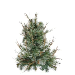 Northlight 2.5 Feet Tall And Smaller>2' Full Country Mixed Pine Artificial Christmas Wall Tree - Unlit