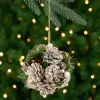Northlight Pine Cones>5.5" Glittered Pine Needle And Pinecone Hanging Christmas Ball Ornament