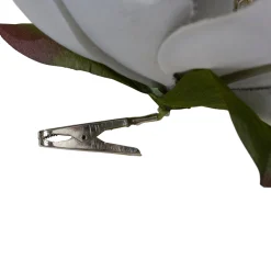 Northlight Garden & Floral><noscript><img width=