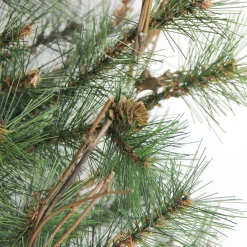 Unlit Teardrops*Northlight 36" Green Country Mixed Pine Artificial Christmas Teardrop Swag - Unlit