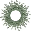 Traditional Pine Wreaths*Northlight 20" Green Glittered Artificial Coral Christmas Wreath
