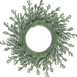 Traditional Pine Wreaths*Northlight 20" Green Glittered Artificial Coral Christmas Wreath
