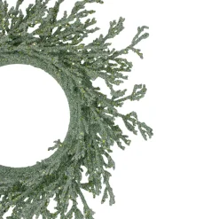 Traditional Pine Wreaths*Northlight 20" Green Glittered Artificial Coral Christmas Wreath
