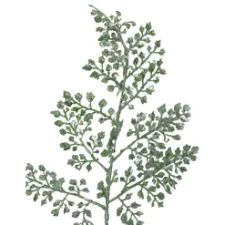 Sprays, Branches & Picks*Northlight 18