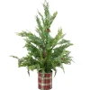 Northlight 2.5 Feet Tall And Smaller>24" Iced Cedar Artificial Christmas Tree In Plaid Pot - Unlit