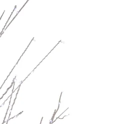 Northlight Twig Trees><noscript><img width=