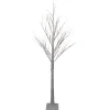Northlight Twig Trees>6' Lighted Christmas White Birch Twig Tree Outdoor Decoration - Warm White Led Lights