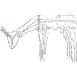 Outdoor Decorations*Northlight 42