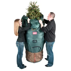 Decoration Storage*Northlight 89