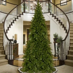 National Tree Company 15 Feet And Taller>16' Medium Tiffany Fir Artificial Christmas Tree, Unlit