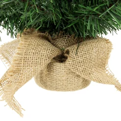 Northlight 3 And 3.5 Feet Tall><noscript><img width=