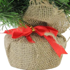 Northlight 2.5 Feet Tall And Smaller><noscript><img width=