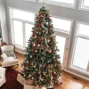 Northlight 10 To 14 Feet Tall>12' Northern Pine Full Artificial Christmas Tree - Unlit