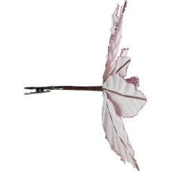 Floral*Northlight 10