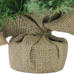 Northlight 2.5 Feet Tall And Smaller><noscript><img width=