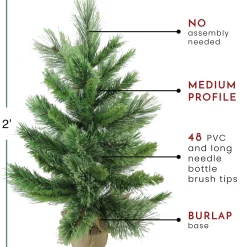 Northlight 2.5 Feet Tall And Smaller><noscript><img width=