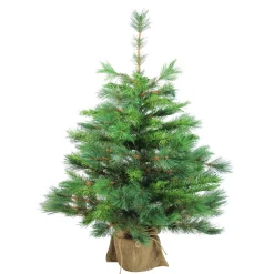 Northlight 3 And 3.5 Feet Tall>3' Potted New Carolina Spruce Medium Artificial Christmas Tree - Unlit