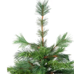 Northlight 3 And 3.5 Feet Tall>3' Potted New Carolina Spruce Medium Artificial Christmas Tree - Unlit