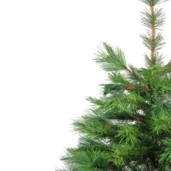 Northlight 3 And 3.5 Feet Tall><noscript><img width=