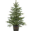 National Tree Company Potted Trees>4' Potted Norwegian Spruce Entrance Artificial Christmas Tree, Unlit