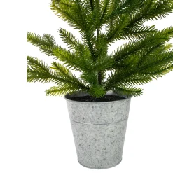 Northlight Potted Trees><noscript><img width=