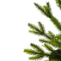 Northlight Potted Trees><noscript><img width=