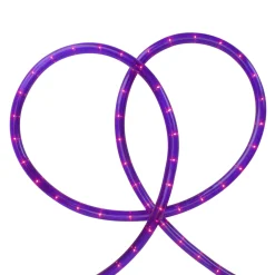 Northlight 18' Pre Lit Purple Incandescent Outdoor Christmas Rope Lights