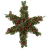 Specialty Wreaths*Northlight 32" Pre-Lit Artificial Mixed Pine And Berries Christmas Snowflake Wreath