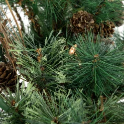 Northlight Wall Trees><noscript><img width=